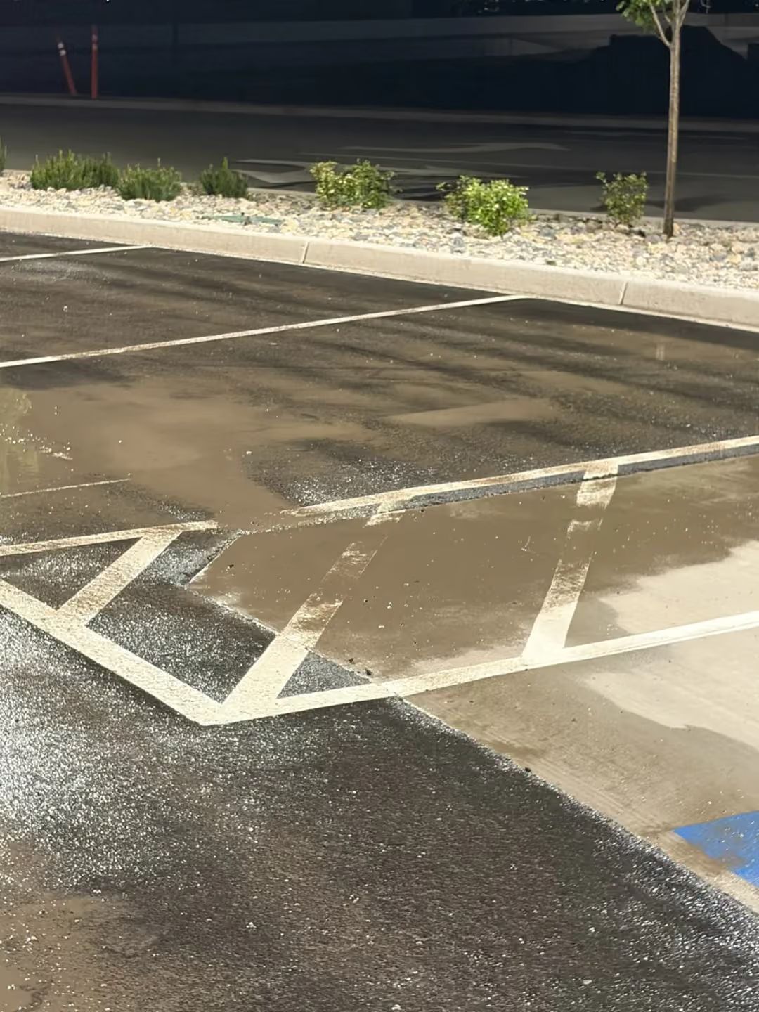 Accessible parking space markings on dark pavement at night, with a curb and landscaped strip nearby