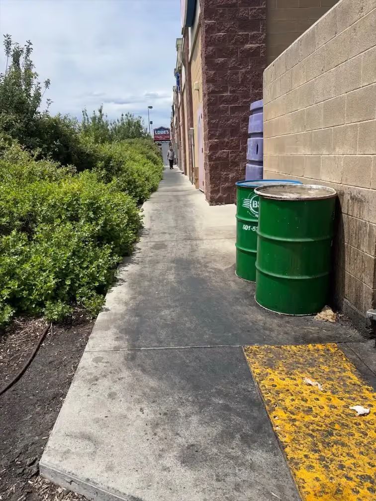 Narrow sidewalk beside brick building, lined with green barrels and bushes under bright daylight.