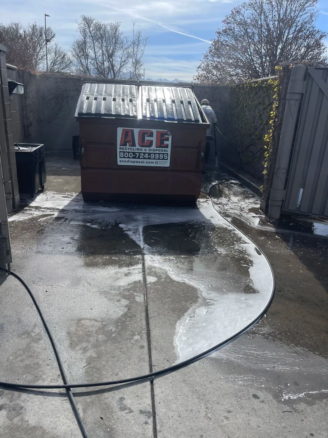 Dumpster in a wet alley with a black hose or cable across the ground and sunlight reflecting on pavement.