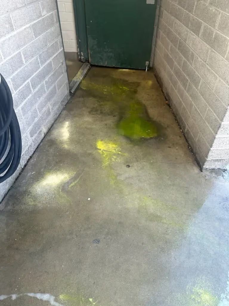 Narrow concrete alley with a green door and bright yellow-green spill on the floor