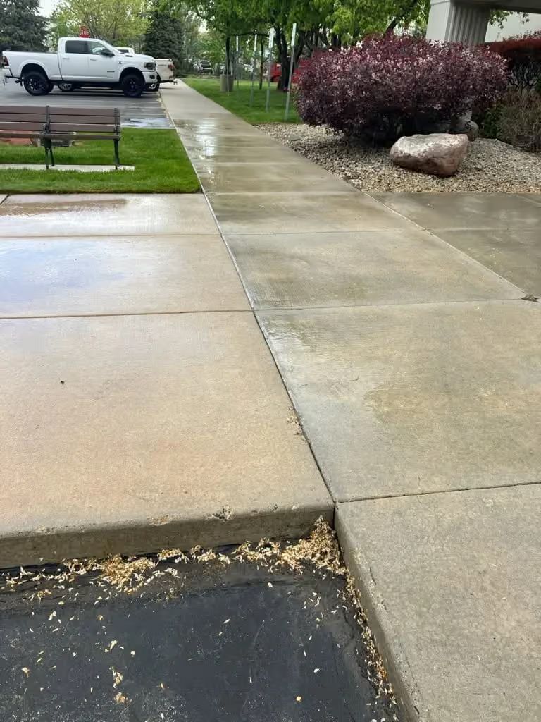 Wet concrete walkway by a curb with a white pickup truck parked nearby and shrubs in a residential area