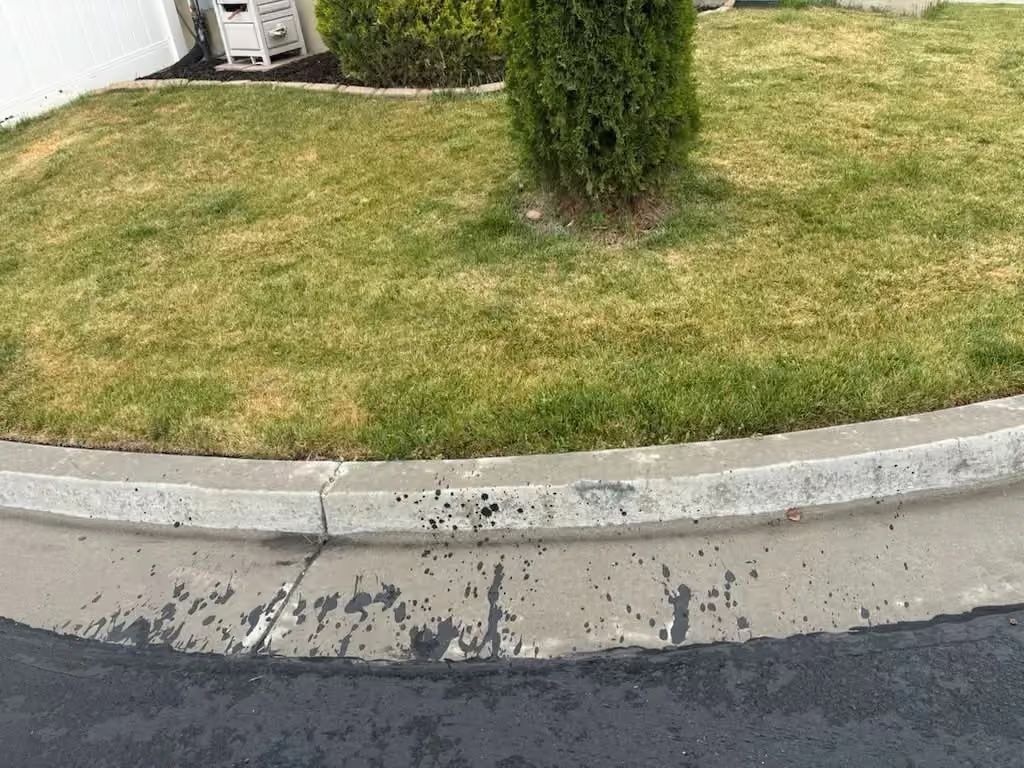 Curved curb beside a grassy lawn with a small tree and a wet road edge