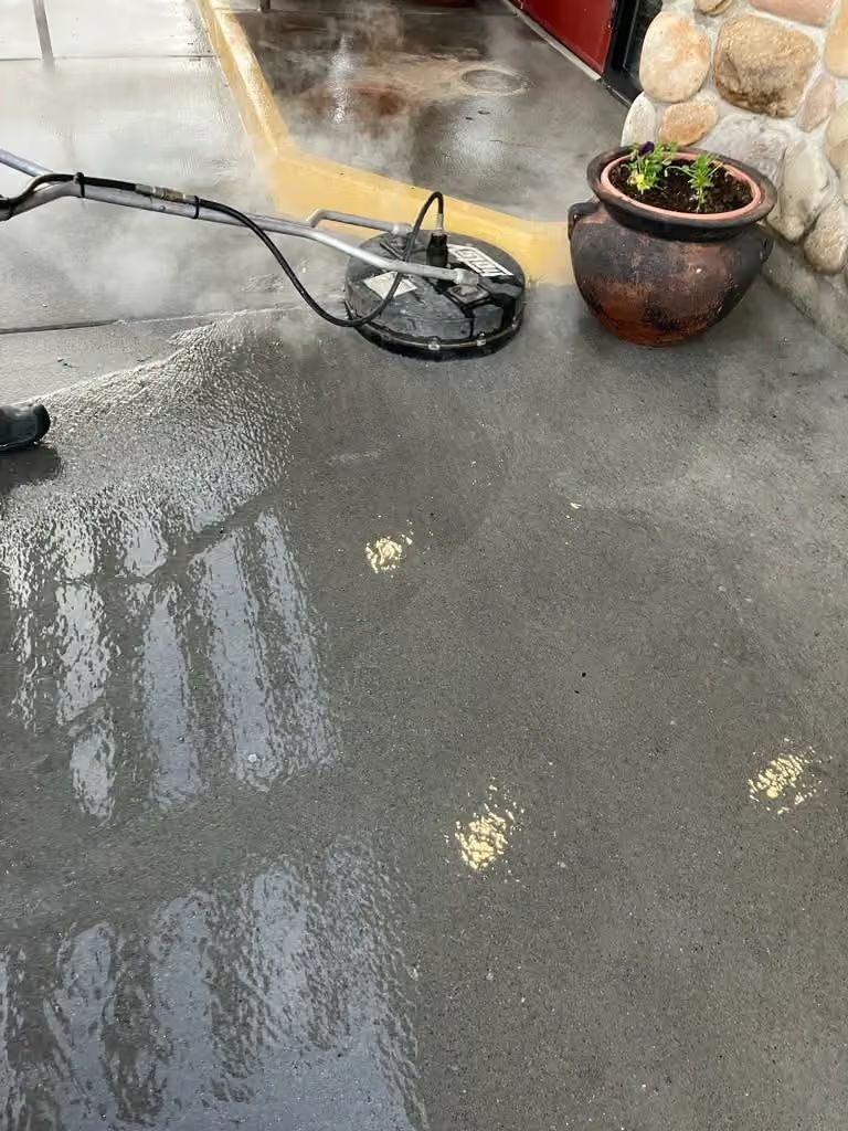 Wet concrete floor with a black hose or cable and a potted plant near a doorway