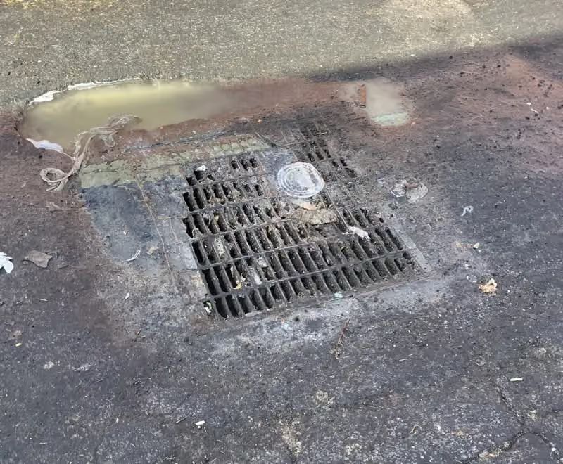 Storm drain grate on a cracked asphalt road with a small plastic bottle on top and standing water nearby