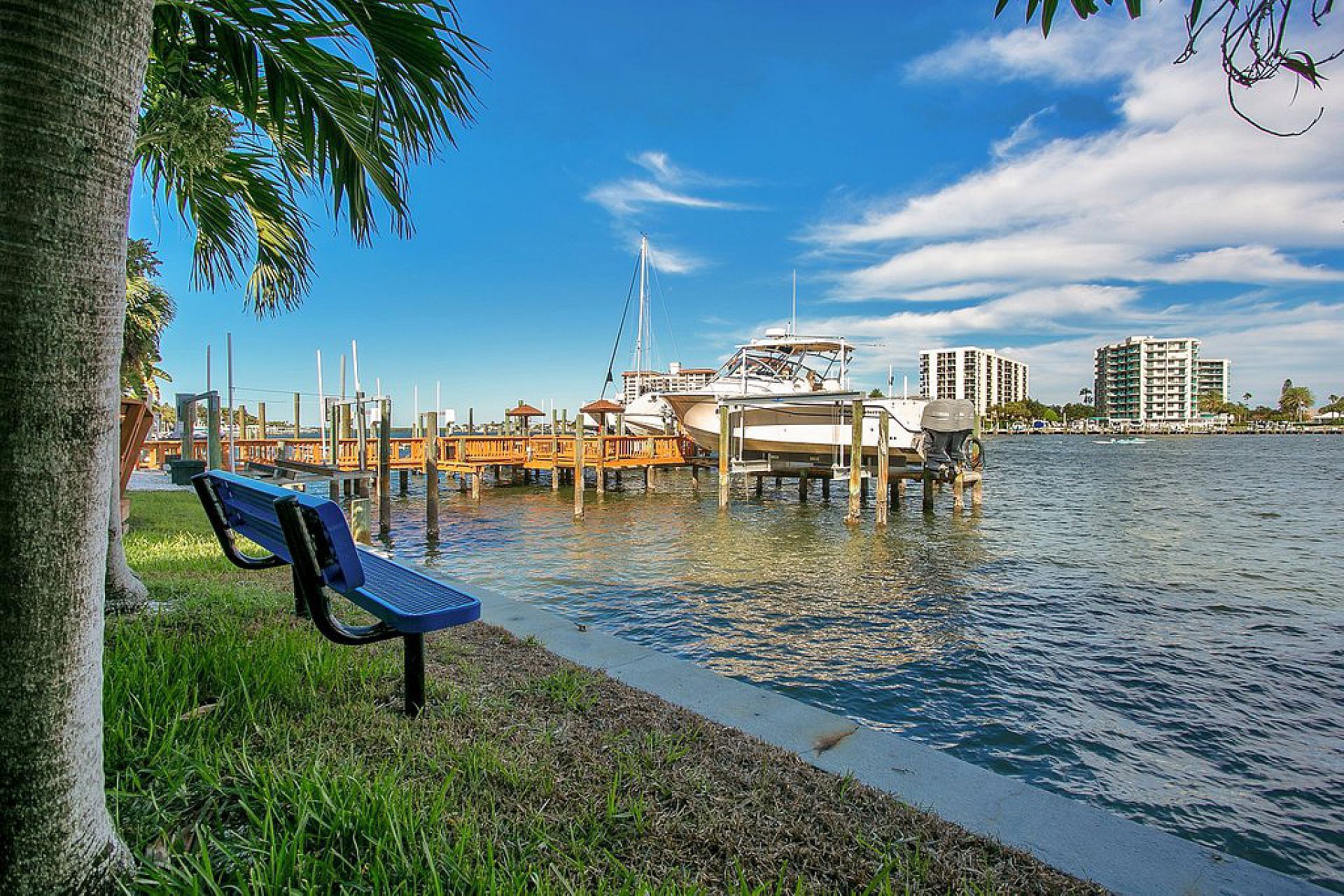 Blue benches next to a grassy area overlooking a dock with boats and buildings under a sunny sky.