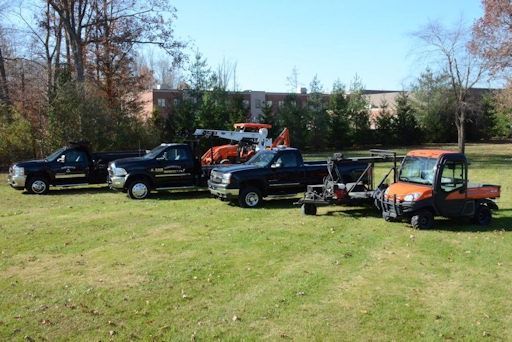 A row of trucks are parked in a grassy field
