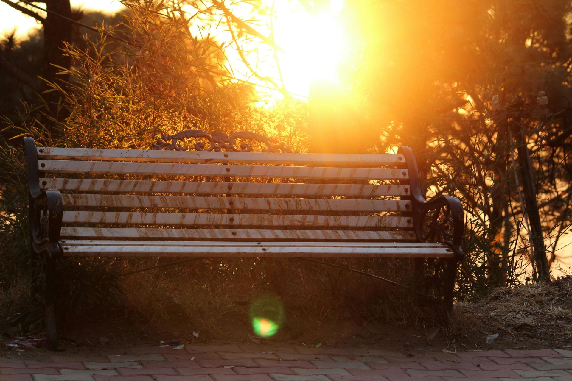 A park bench with the sun shining through the trees