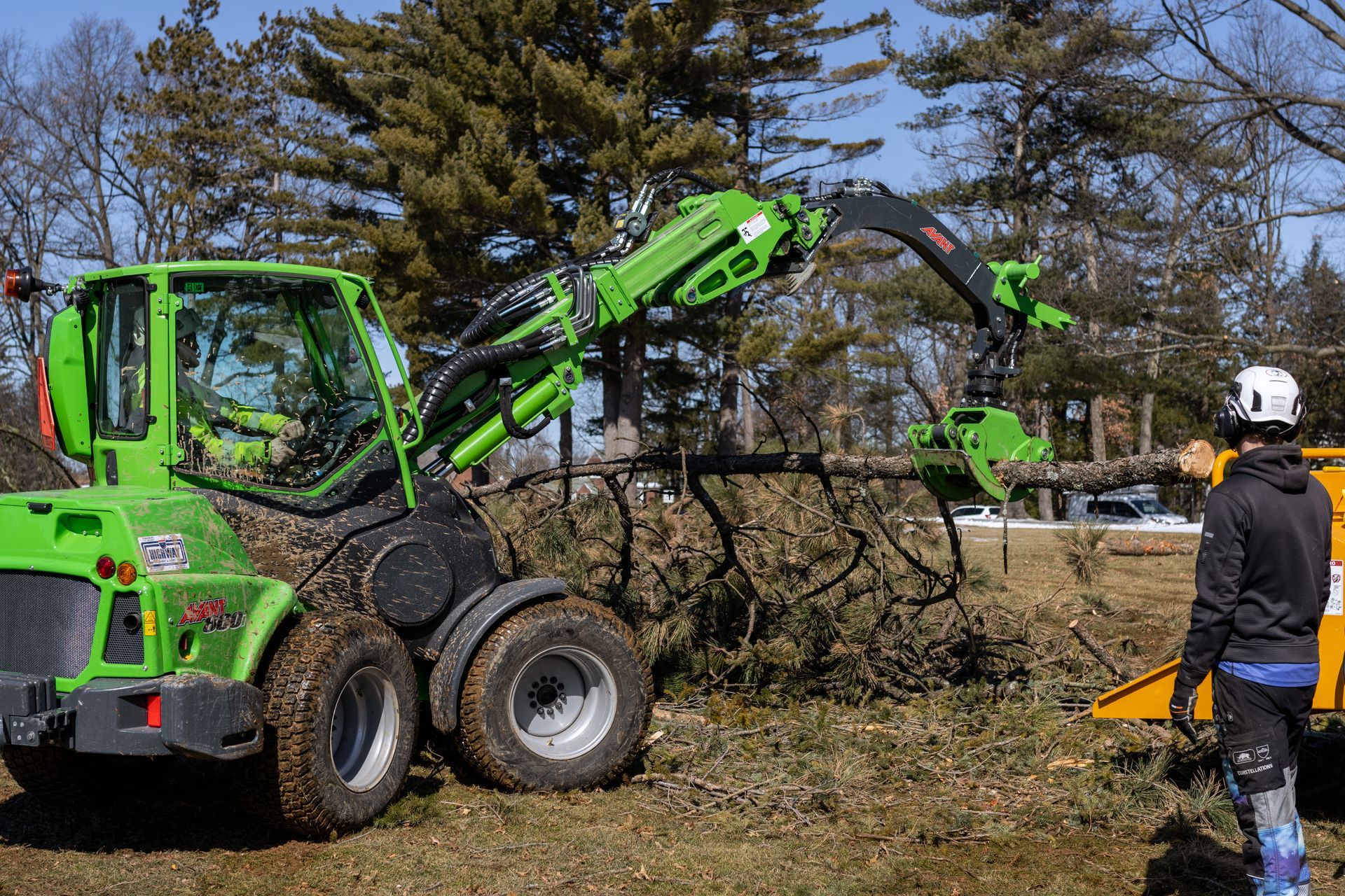 Golf course stump removal in Philadelphia Pennsylvania