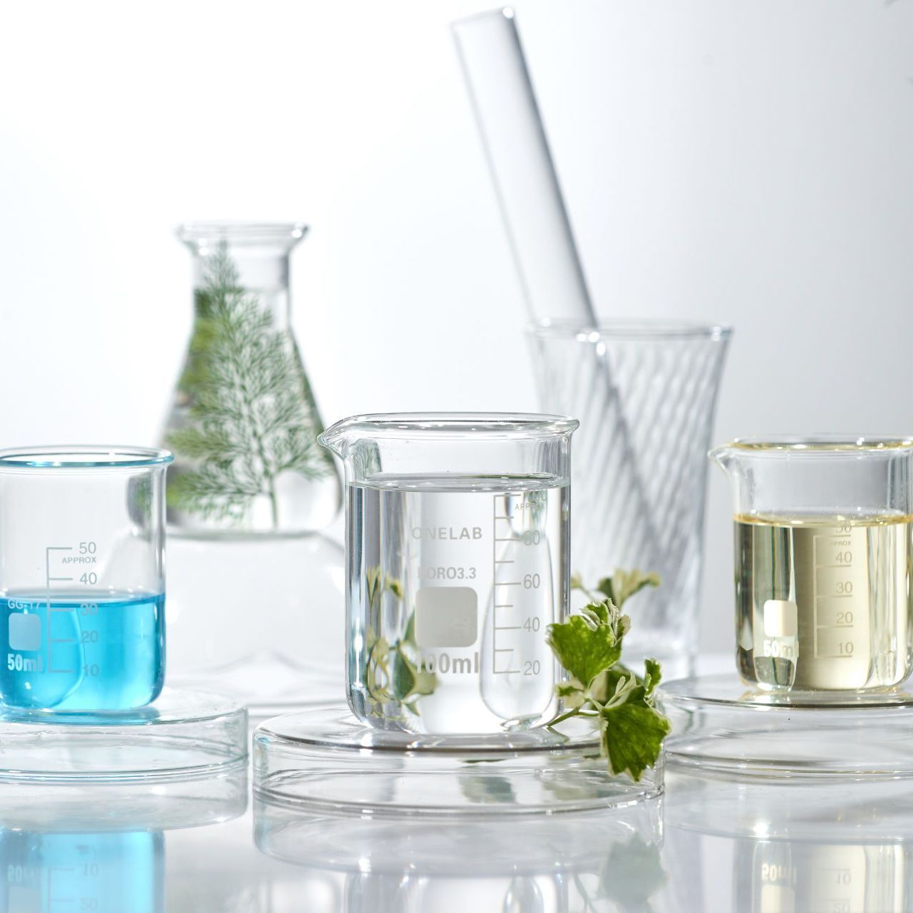 Essential Oils of Oregano