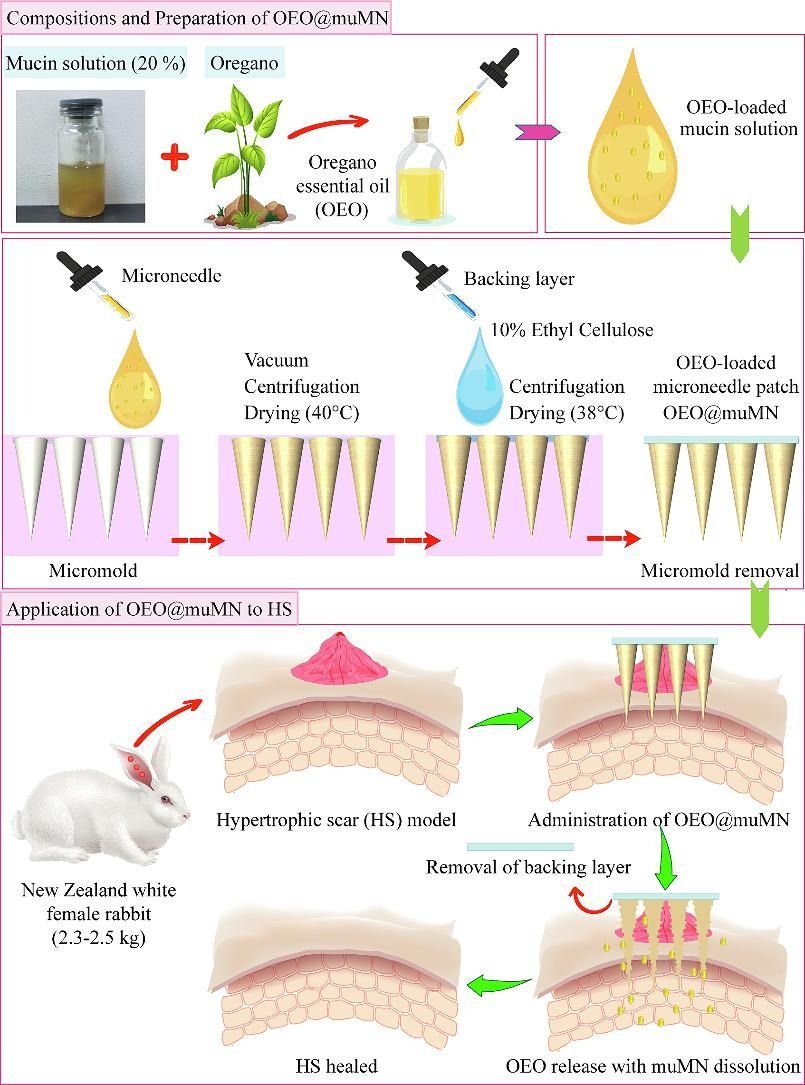 A diagram showing the process of making a cosmetic product from a plant and a rabbit.