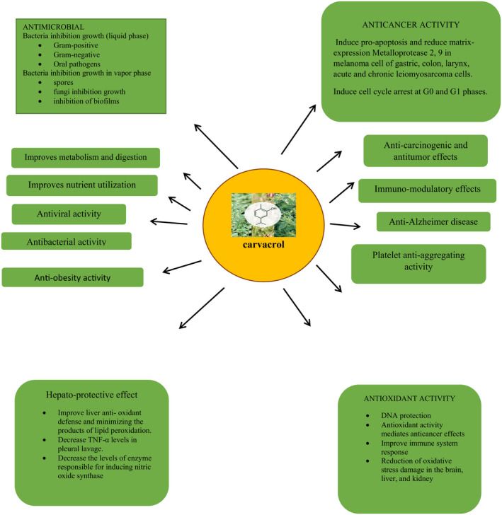 a diagram showing the benefits of a certain plant