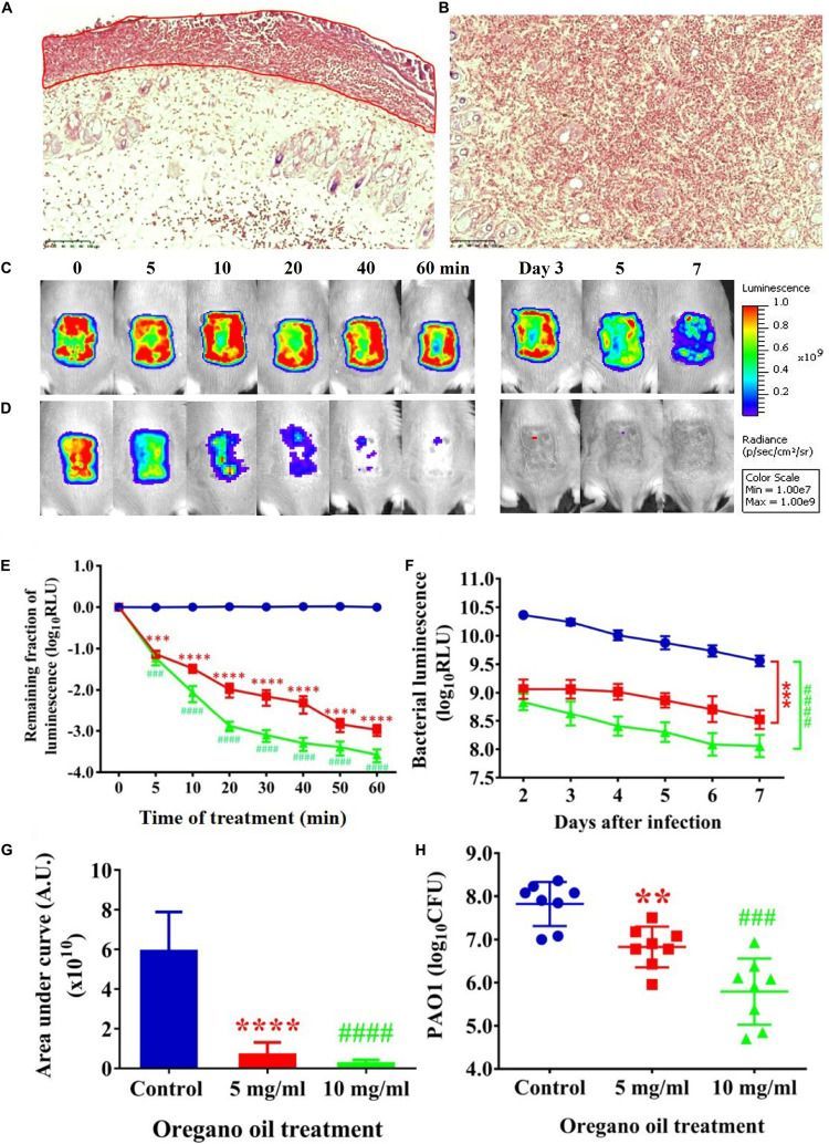 A collage of images and graphs showing the results of a study.