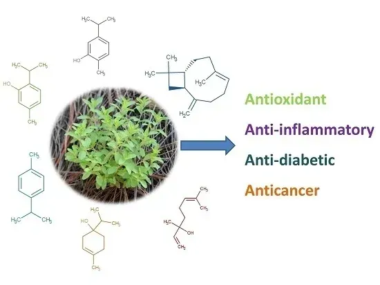A picture of a plant with chemical structures around it.