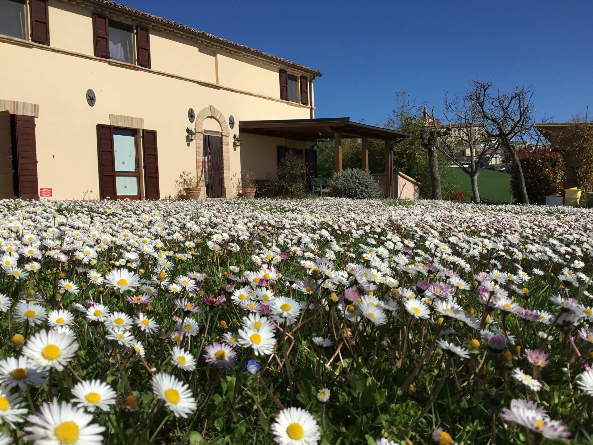 agriturismo
