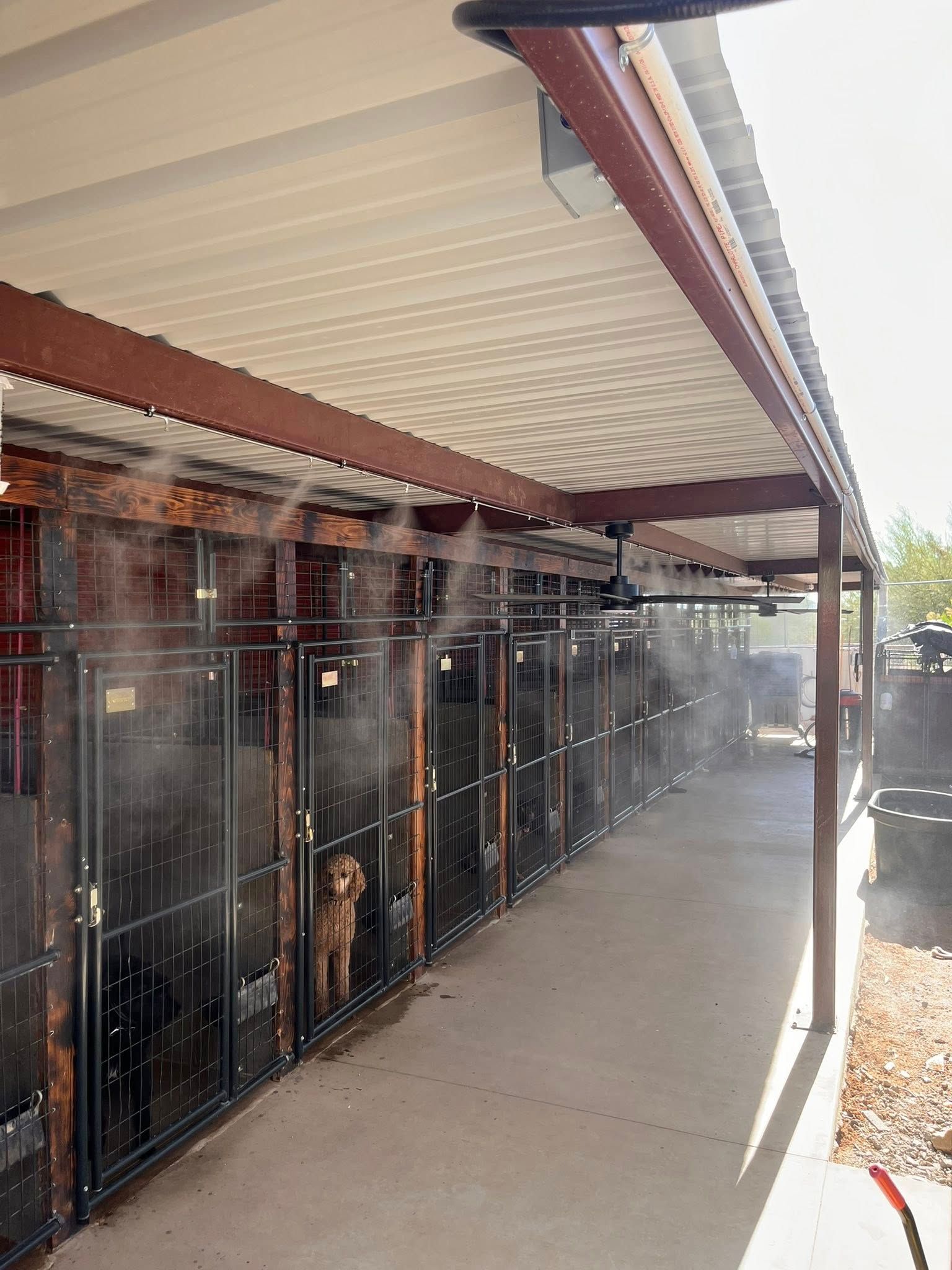 Row of kennels under a covered walkway, with dogs visible behind black metal gates.
