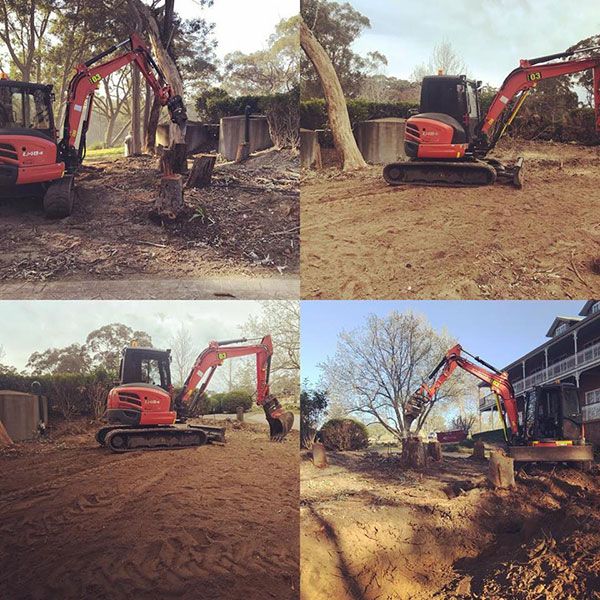 Land Clearing and Vegetation Management in Sydney | Advanced Clearing ...