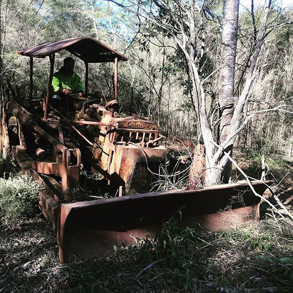 A man is driving an old rusty bulldozer in the woods.