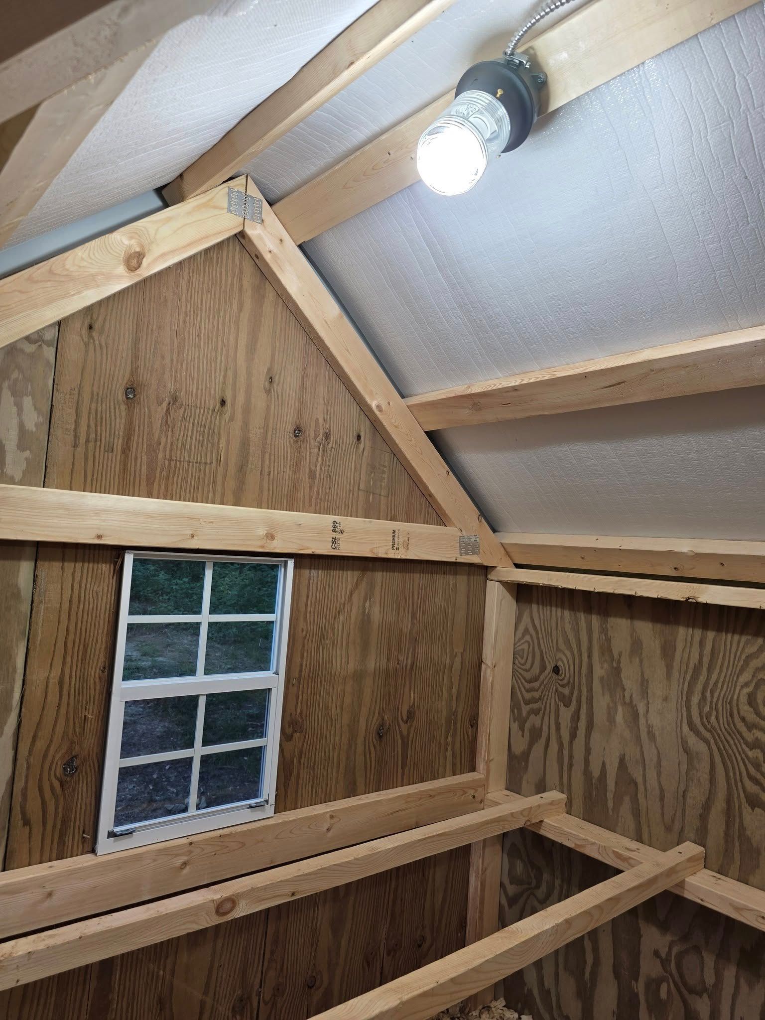 Interior view of a wooden shed with a lightbulb, window, and exposed wooden beams.