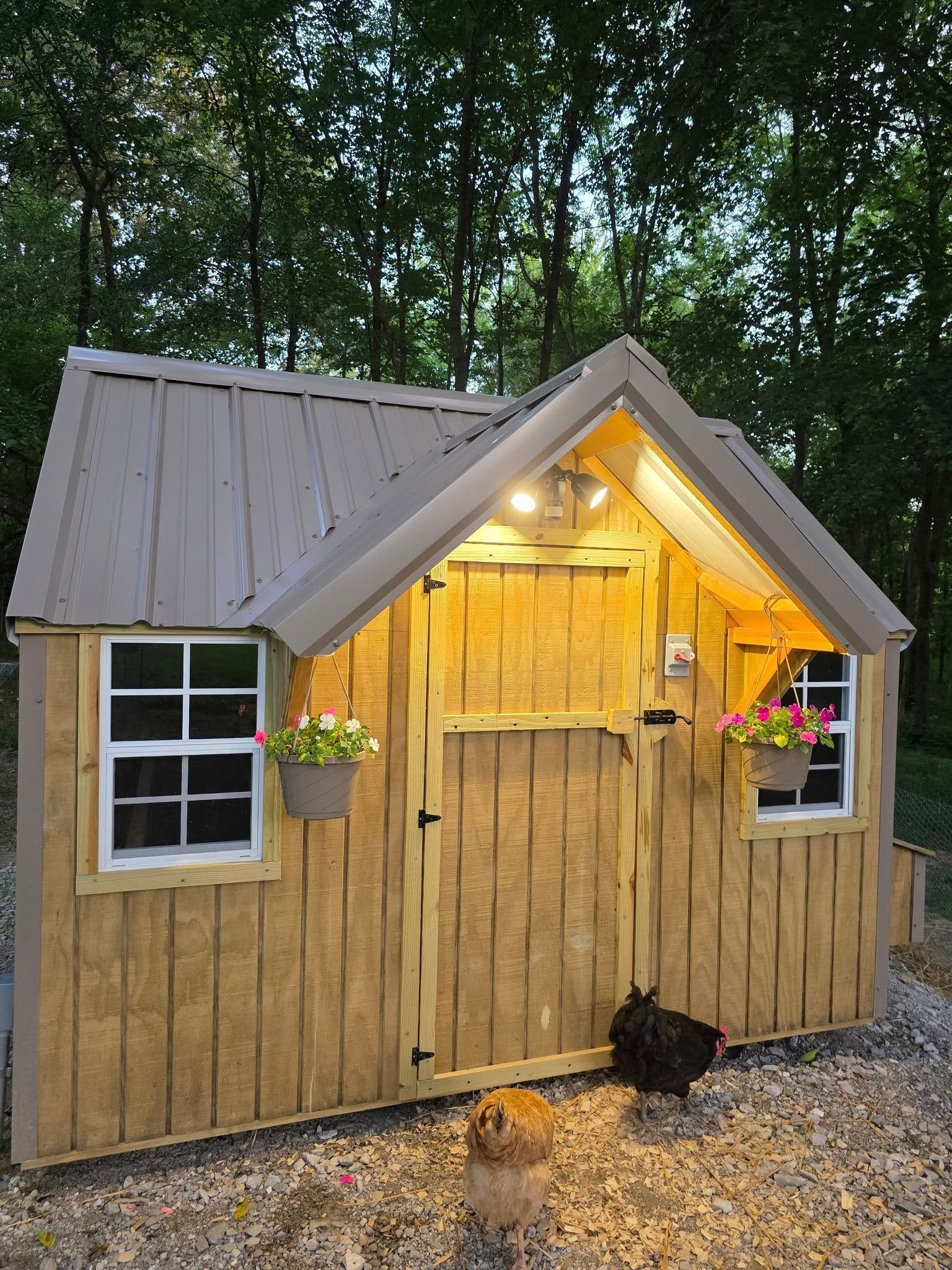 Wooden chicken coop with brown roof, two windows with flower boxes, lit by overhead lights. A dog and a chicken stand near the door.