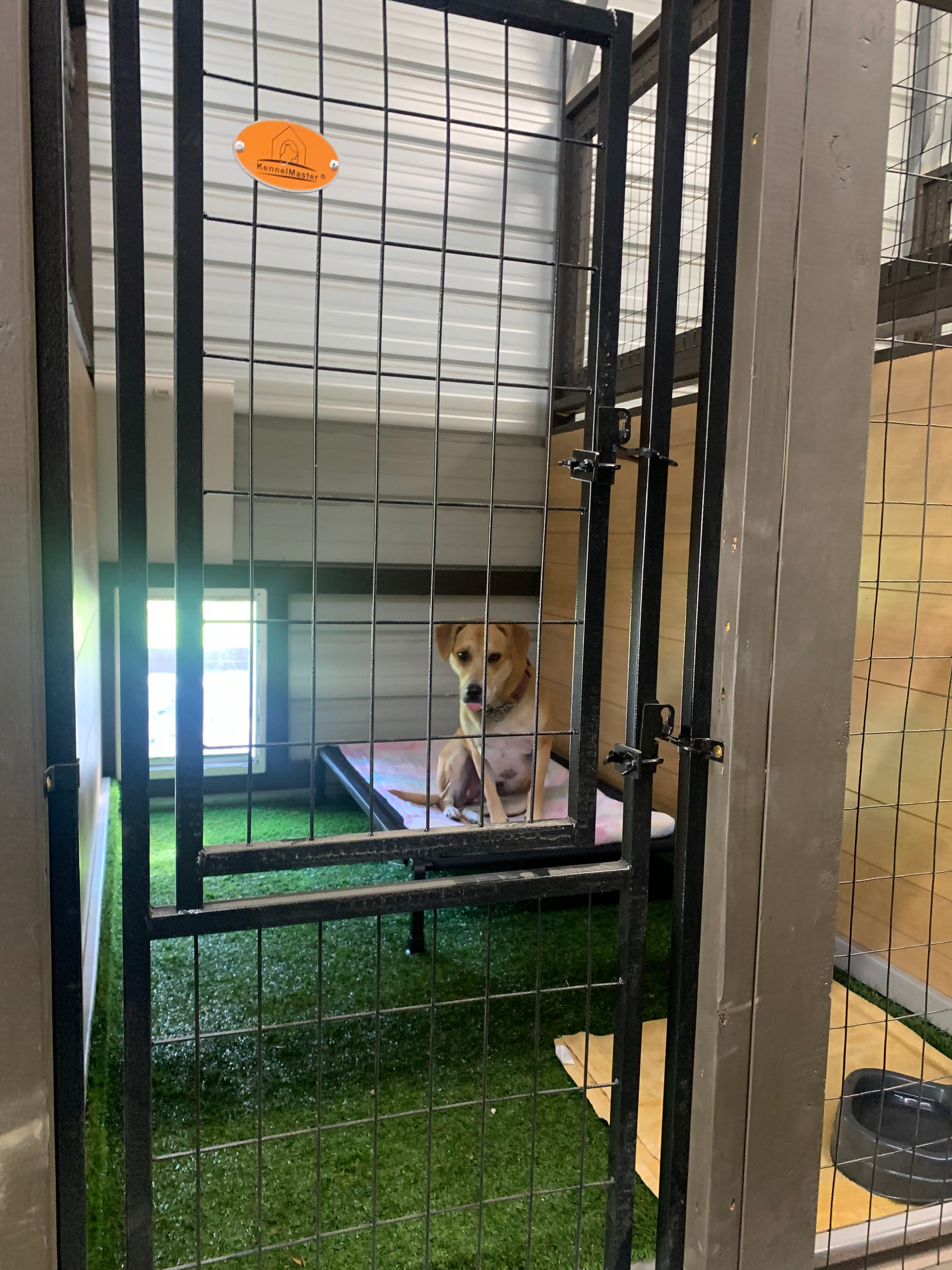 Kennels