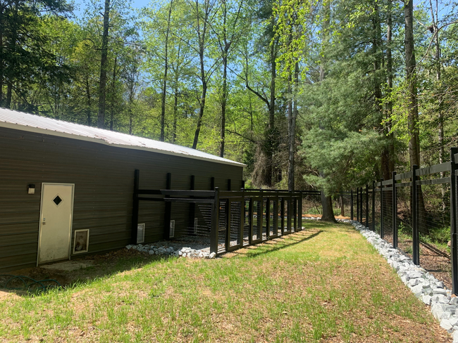 dog boarding side yard