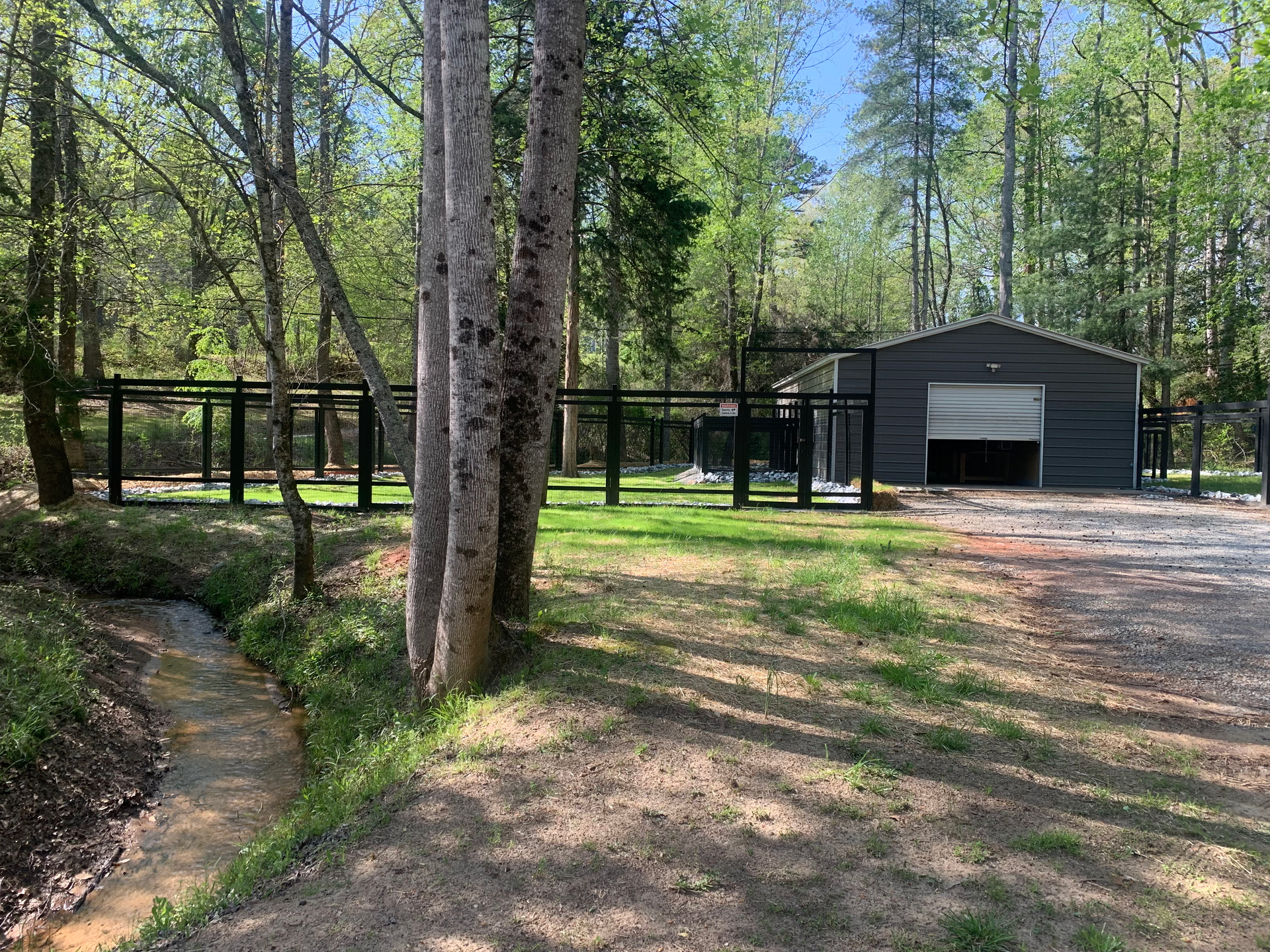 Dog Boarding and Kennels in Clemson/Central SC