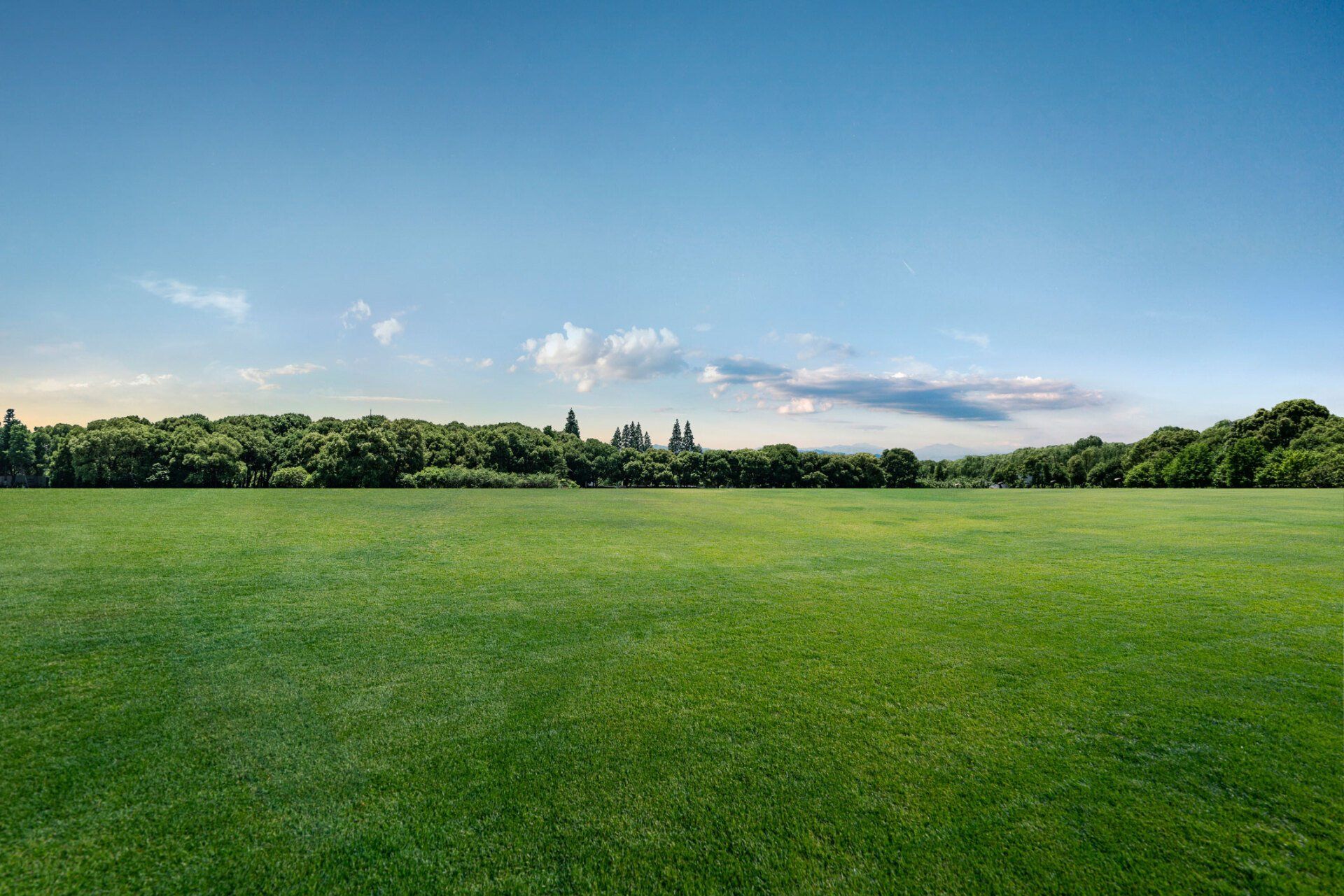 Landscape clearing — Scottsville, VA — Cleveland Tree Service Landscape clearing — Scottsville, VA — Cleveland Tree Service