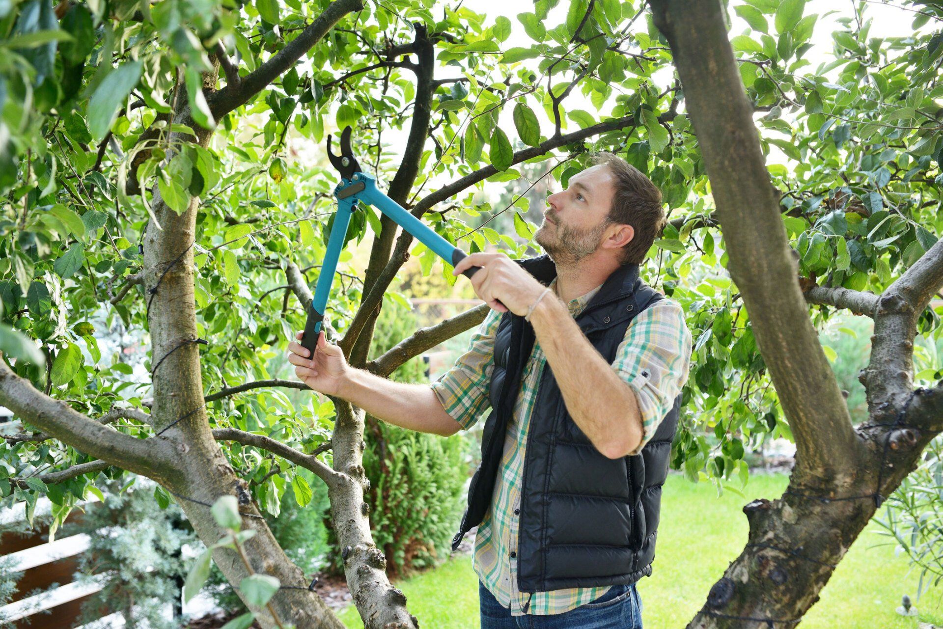Tree trimming — Scottsville, VA — Cleveland Tree Service