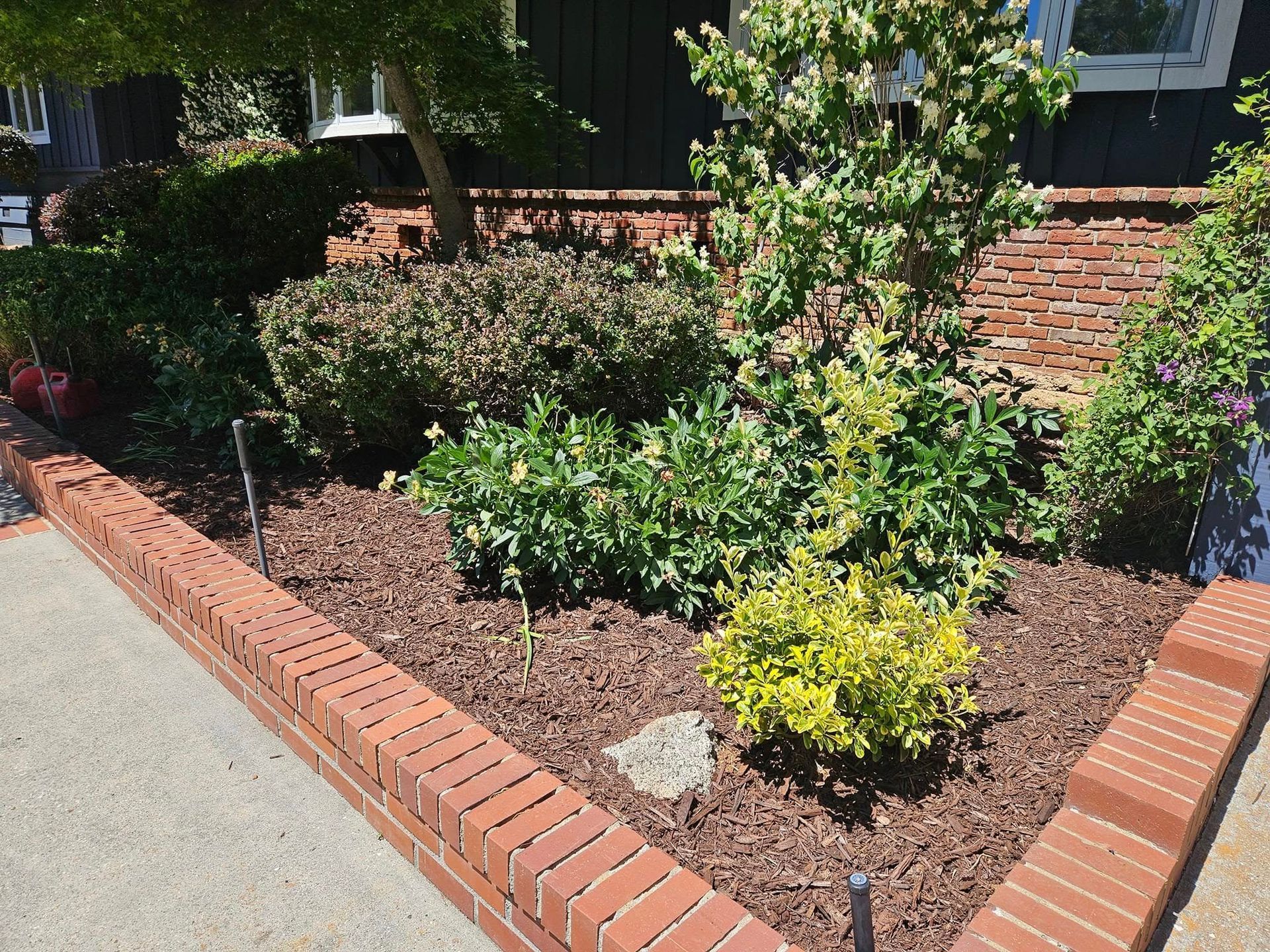 A brick border surrounds a lush green garden in front of a house.