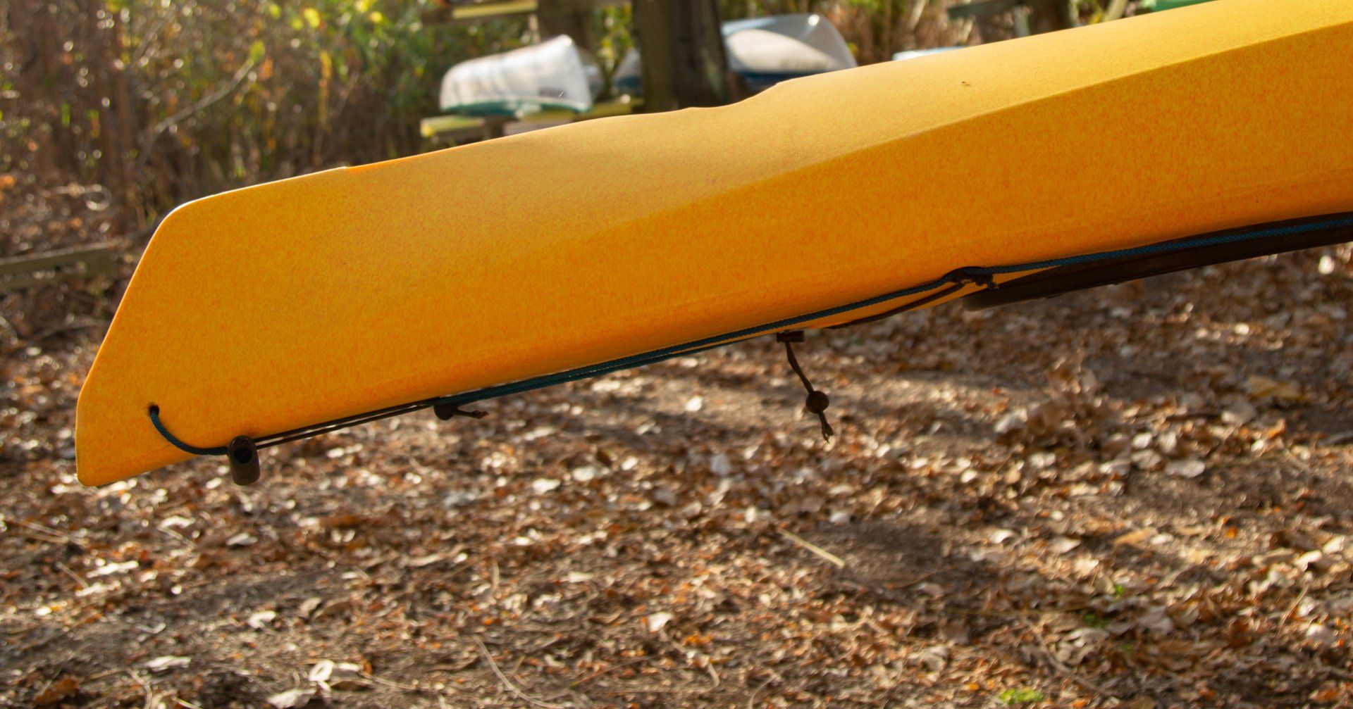 virgo stern rocker