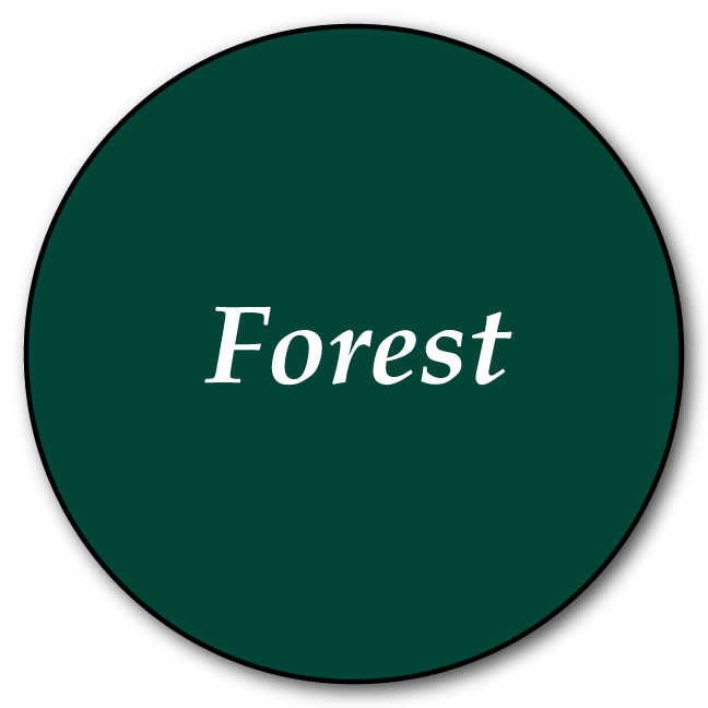 Swift Forest KF