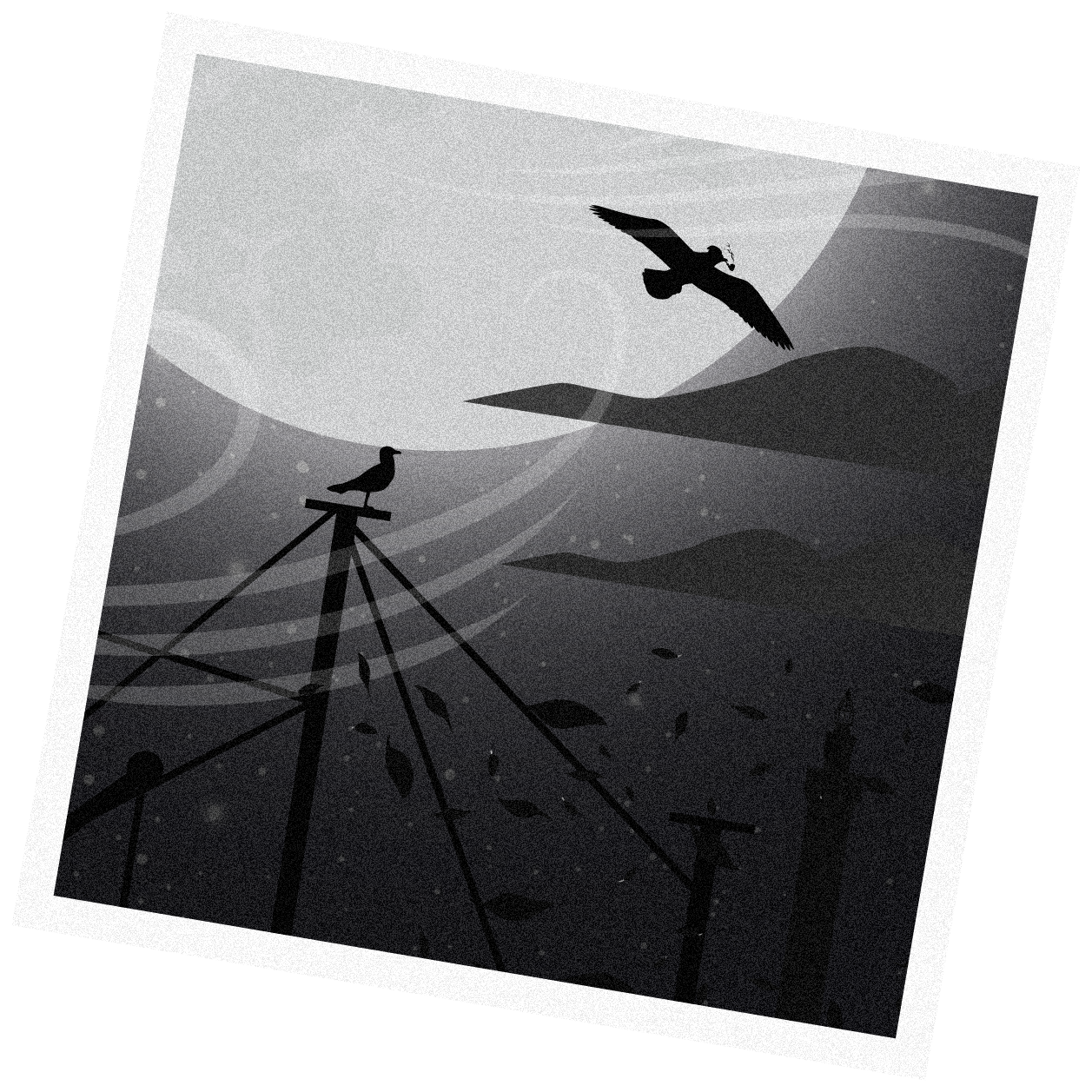 Grayscale landscape with birds flying over layered hills and utility poles with wires