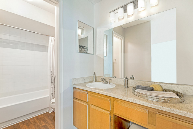 A bathroom with a sink , mirror and bathtub at Steeplechase Apartments in Knoxville, Tennessee