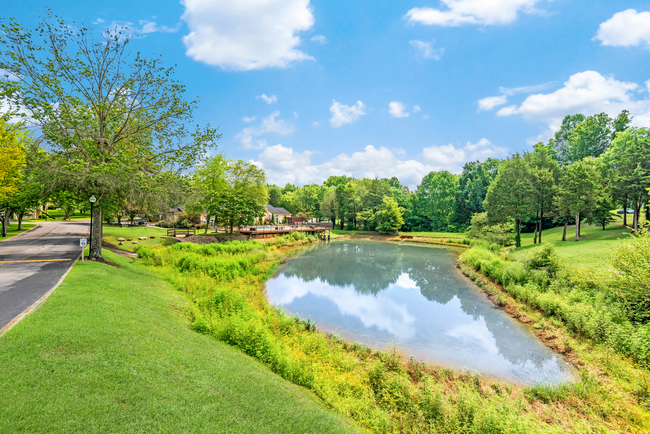 There is a pond in the middle of a park surrounded by trees at Steeplechase Apartments in Knoxville, Tennessee