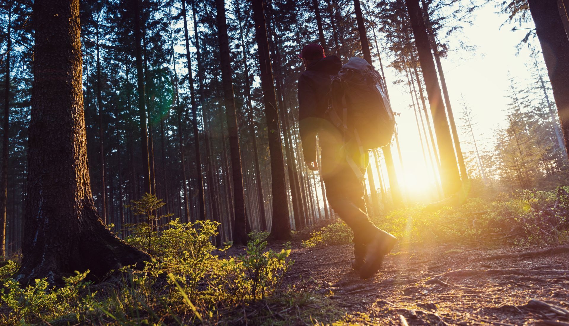 A man with a backpack is walking through a forest at sunset.