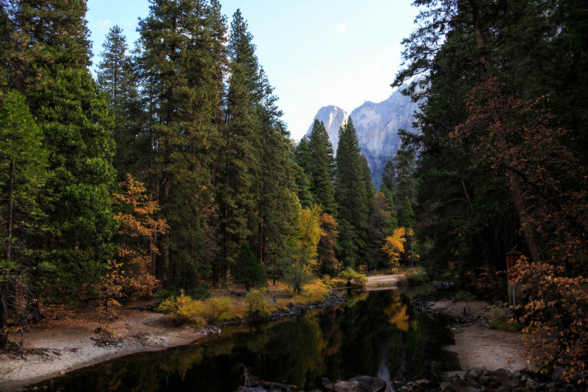 A river running through a forest with a mountain in the background
