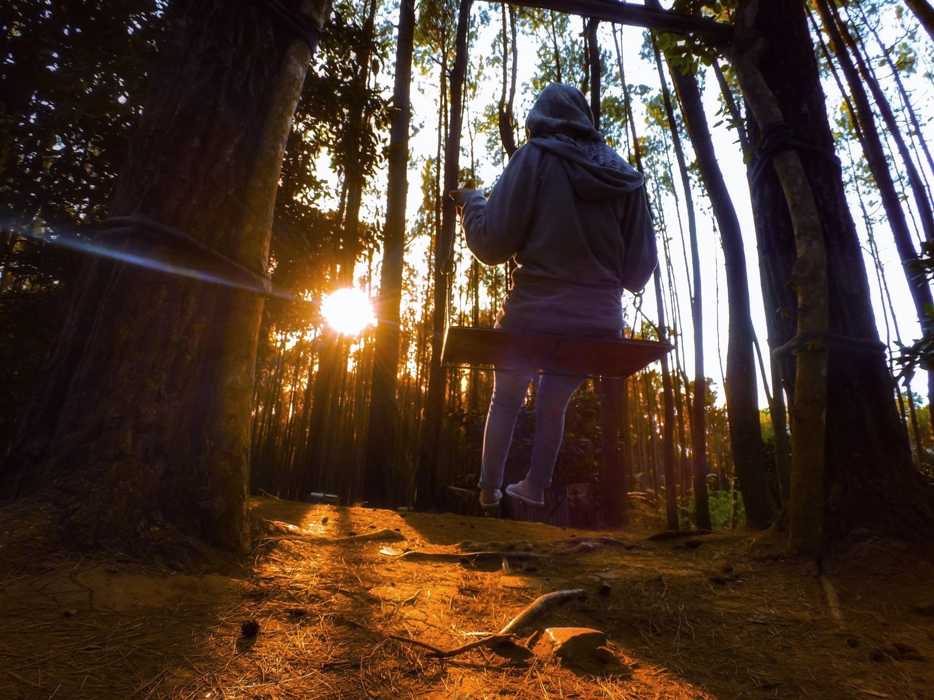 A person is sitting on a swing in the woods at sunset