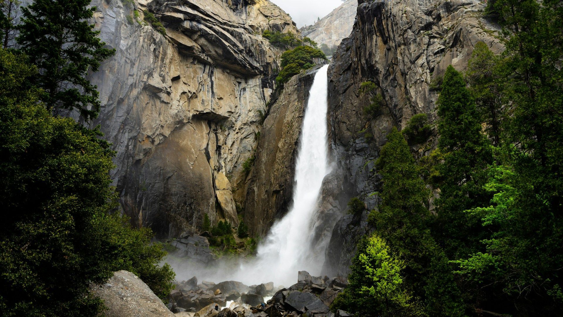 A waterfall is surrounded by trees and rocks in the middle of a forest.