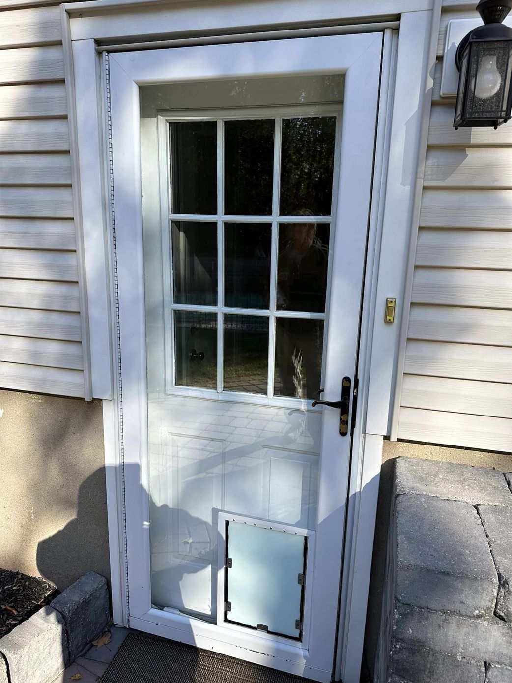 White front door with window panes and pet door, set in beige siding beside a wall lantern.