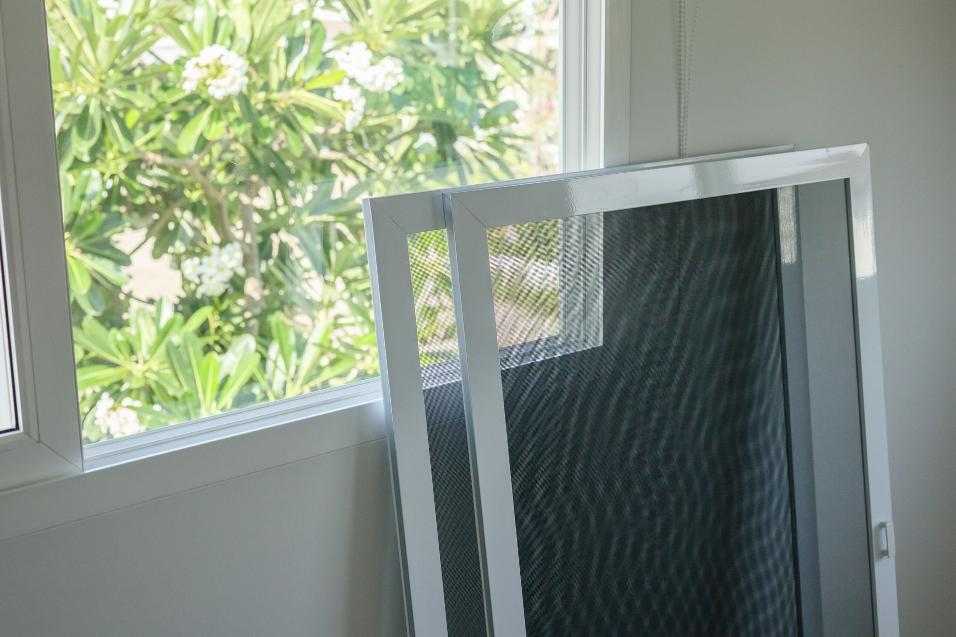 Screen window leaning against a bright window with trees outside.