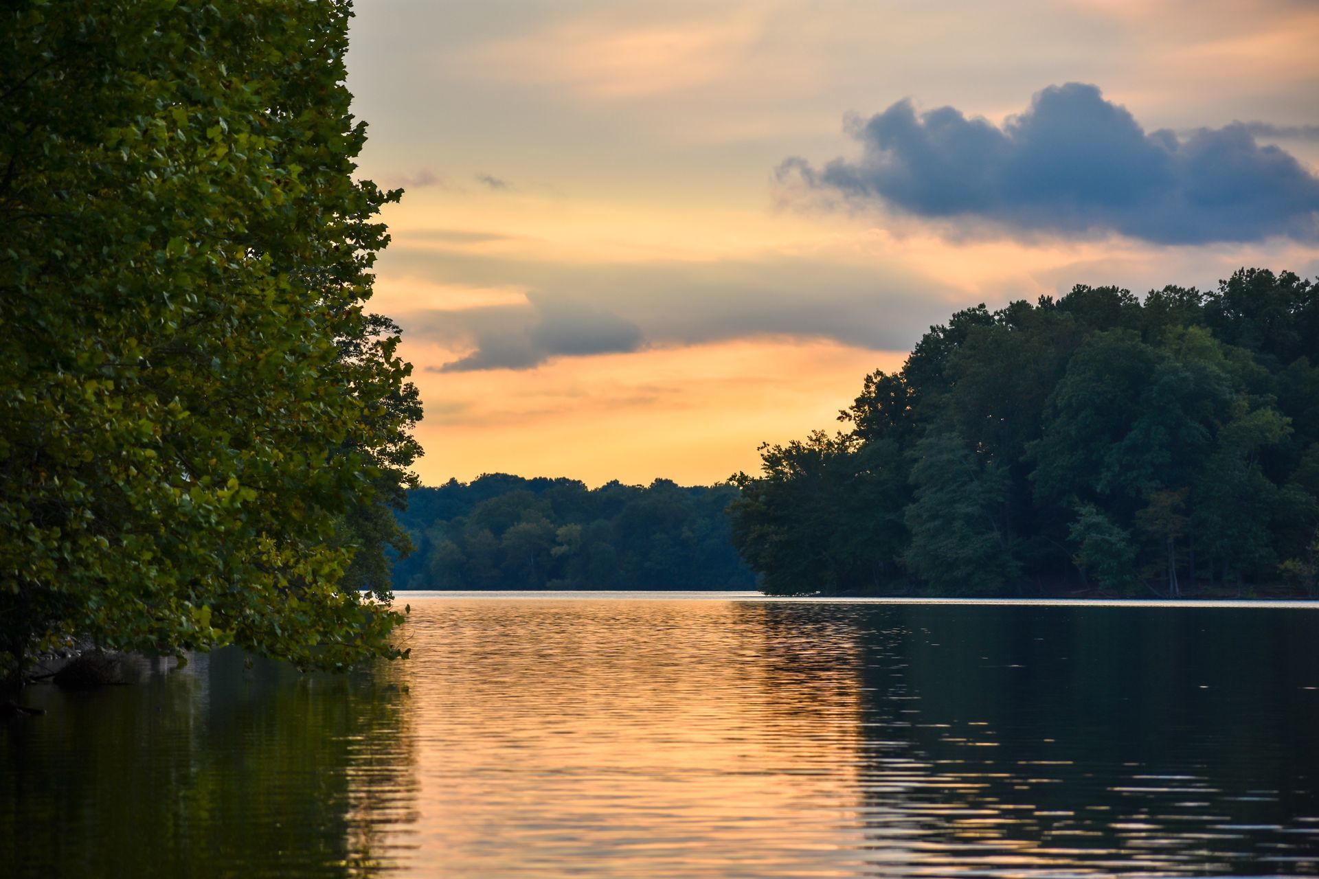 Sunset over a calm lake with dark trees and golden reflections on the water