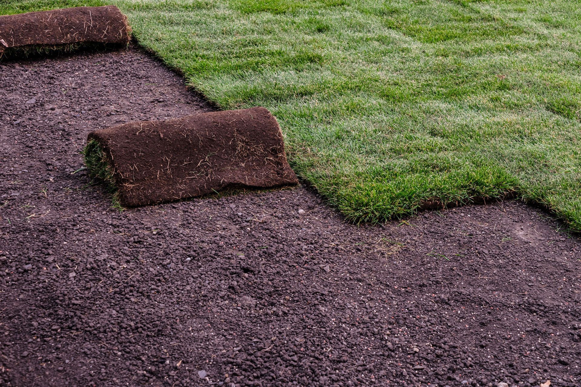 Rolls of sod being laid on dark soil, with green grass already in place.