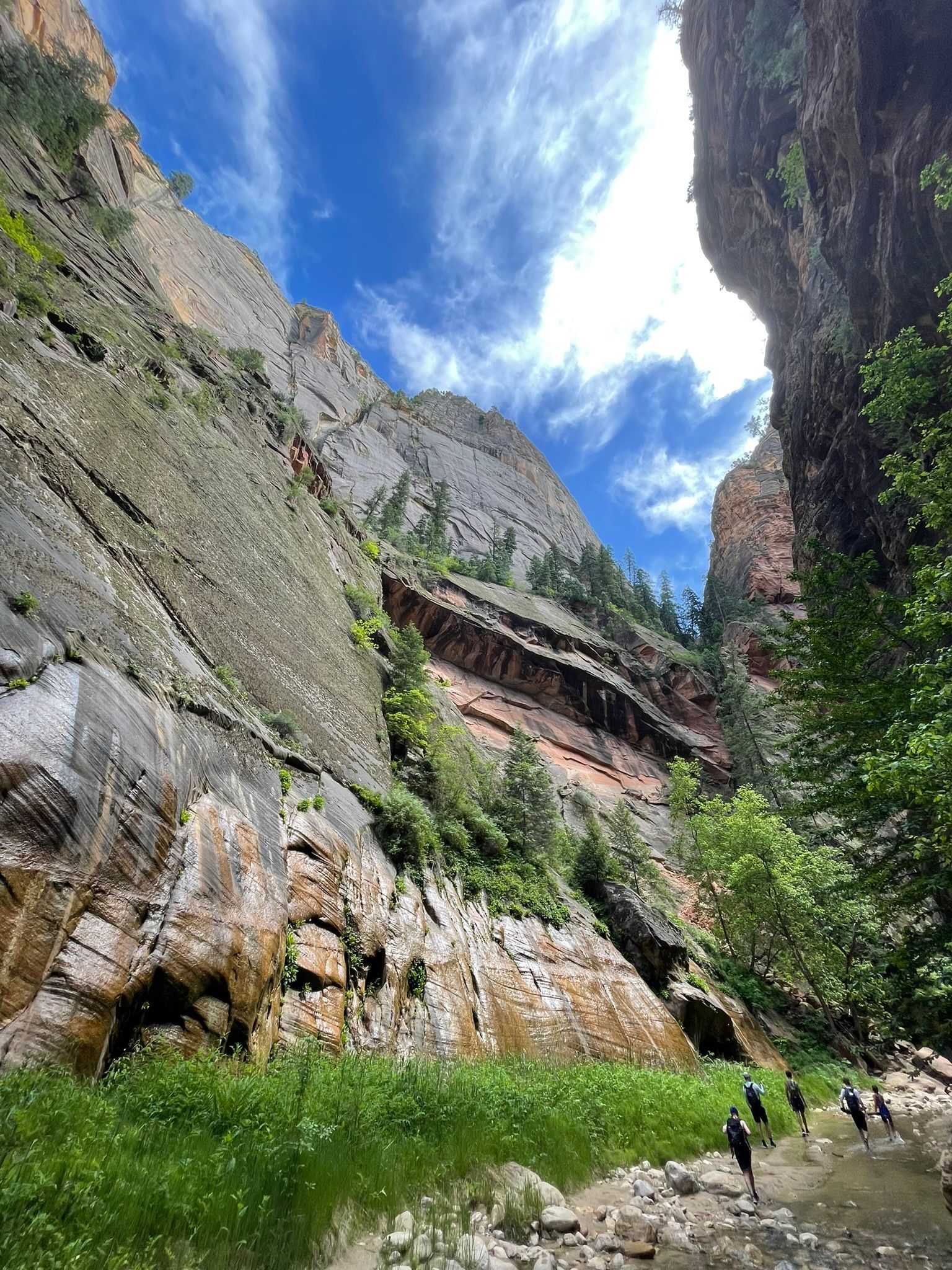 Zion National Park
