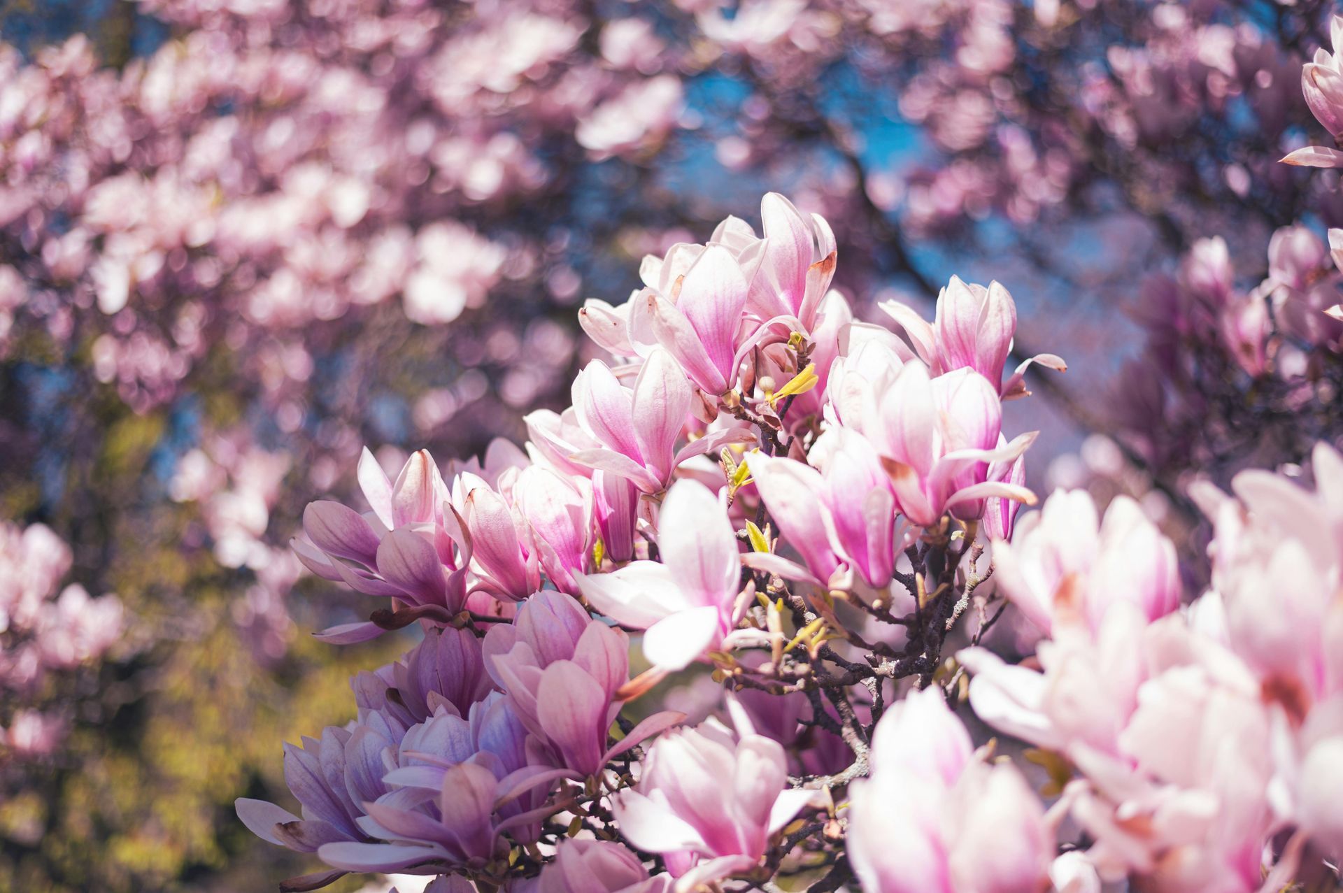 Inspirational Easter Messages