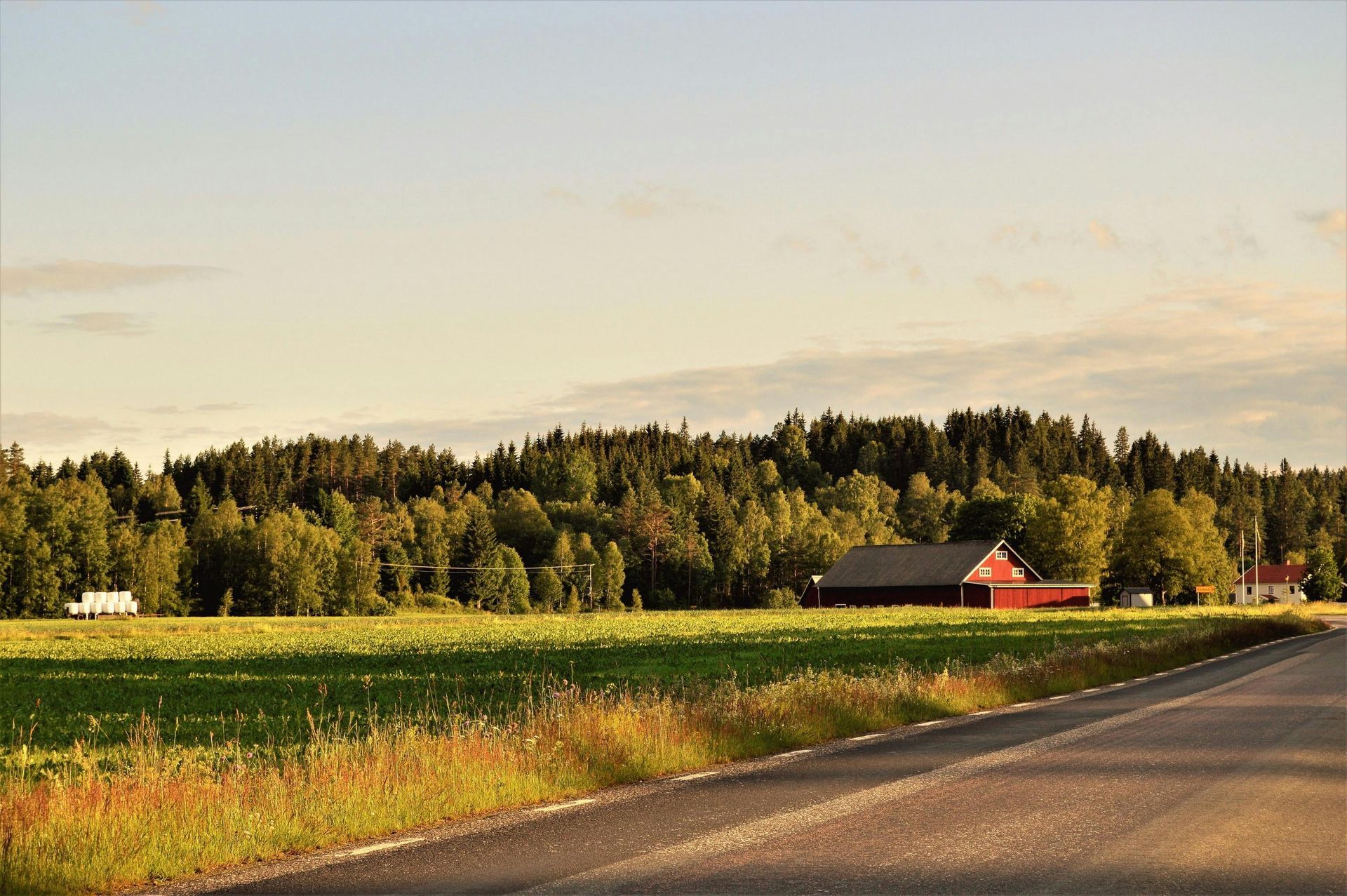 Roadside view of a green field, a red barn, and a forest under a light sky.