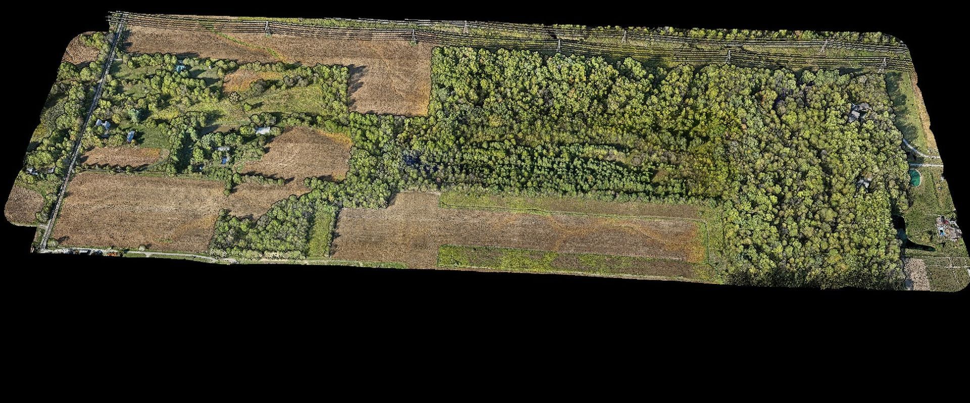 Drone LiDAR point cloud of a wooded corridor in true color