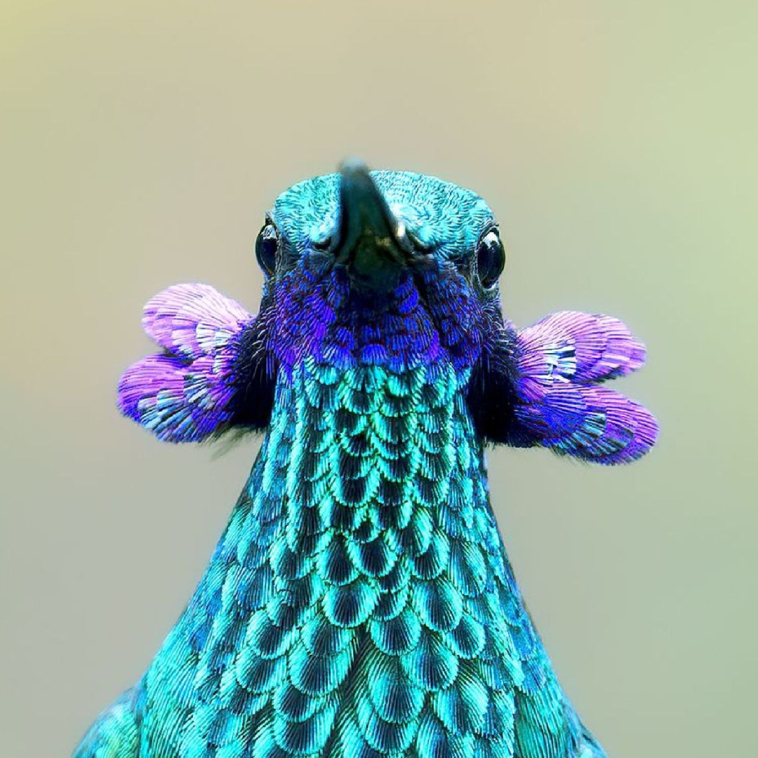 Turquoise and purple peacock figurine with a textured neck on a plain beige background