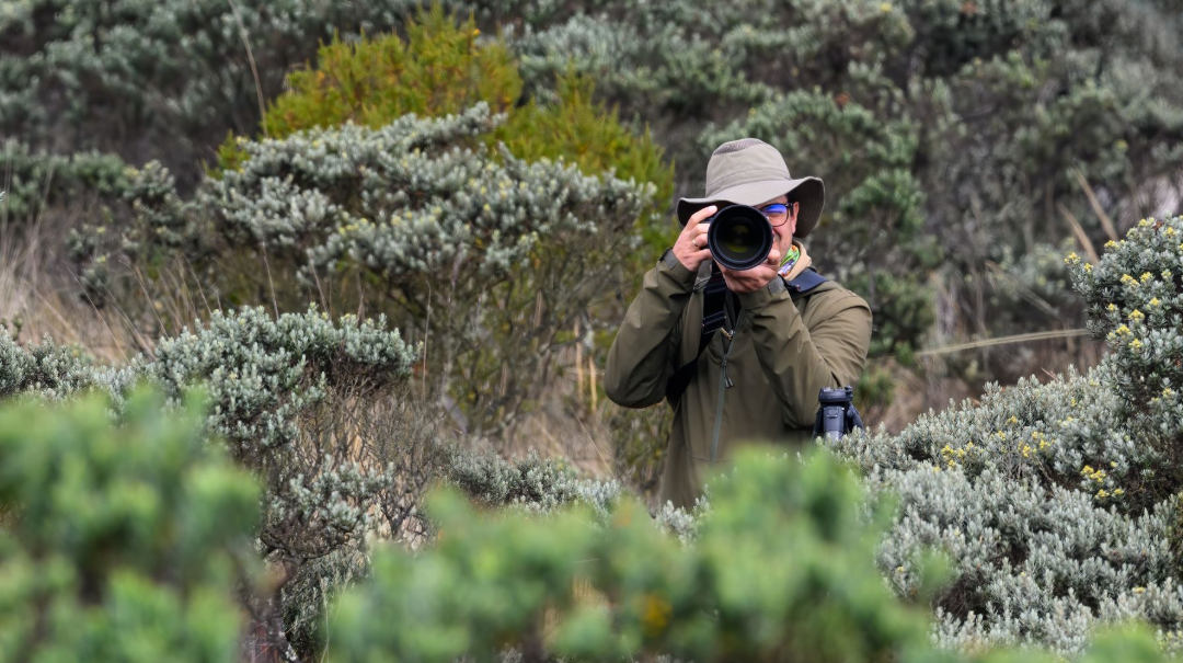 Person in a hat photographing a shrubland landscape with a camera among green bushes