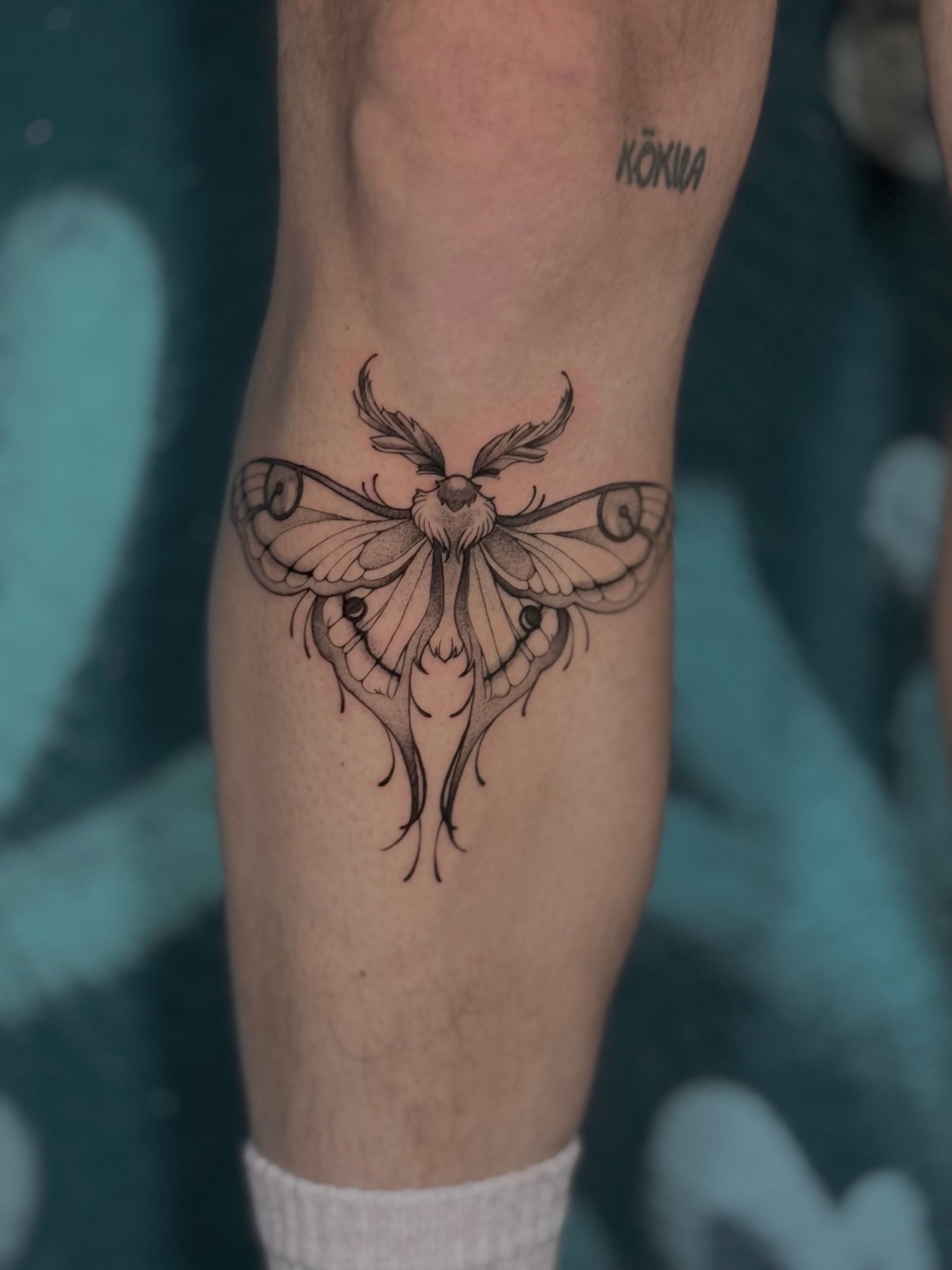 Motten-Tattoo auf der Wade einer Person. Aufwendiges schwarzes Design mit ausgebreiteten Flügeln, Knie im Hintergrund.