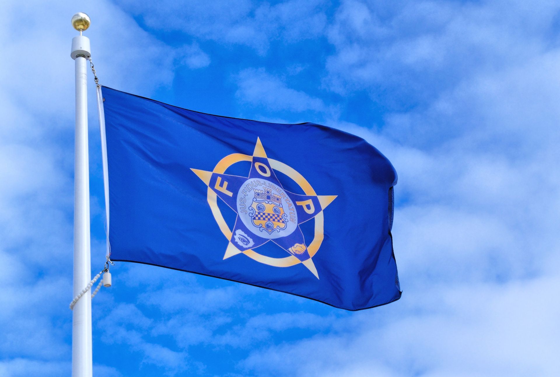 Blue flag with a gold emblem waving on a white pole against a blue sky